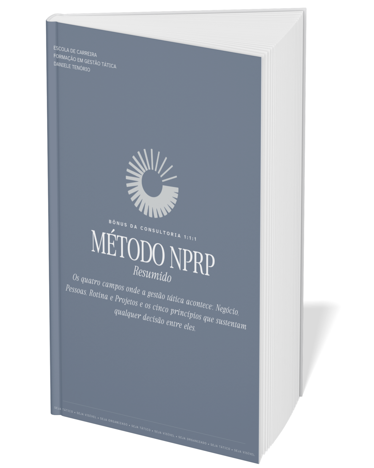 E-book Bônus: Método NPRP Resumido
